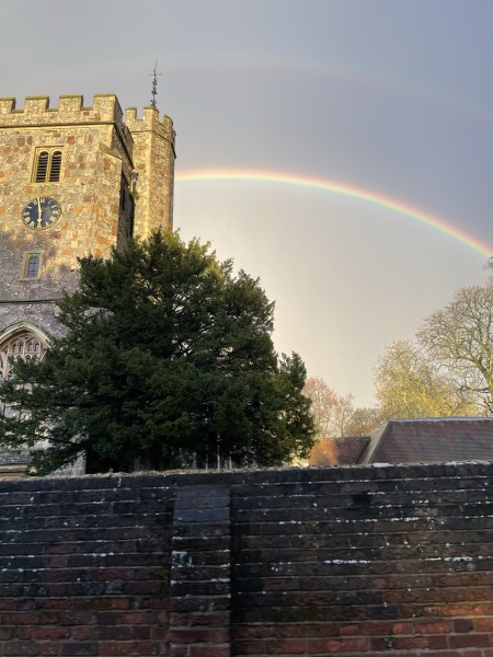 Pamela thread 3 - Bile Duct Cancer, off to London! 