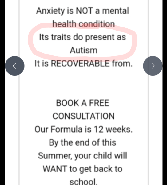 to warn you about this company offering solutions to child's anxiety and school refusal?