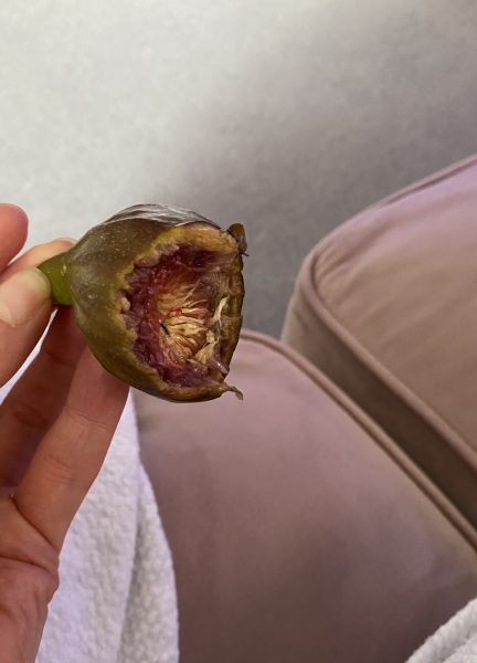 Figs