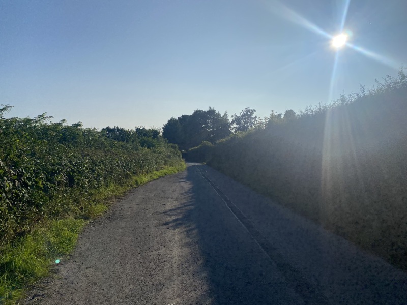 Come and tell me your dull and unexciting news 26: Calmly through the day 