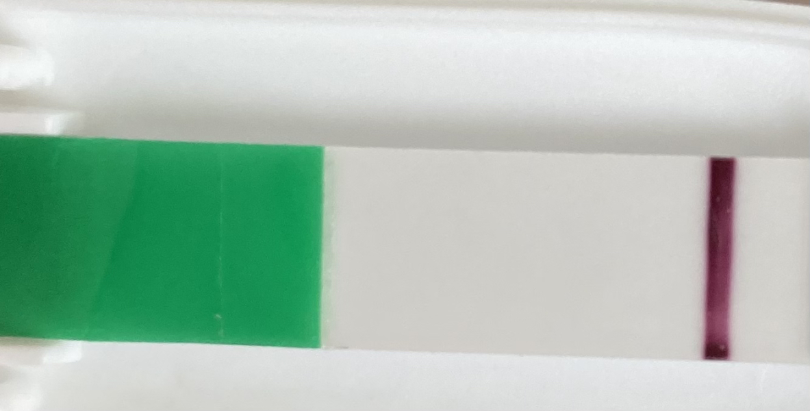 Testing at 8DPO?