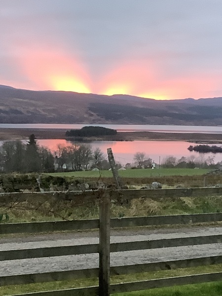 Pamela thread 6 - Bile Duct Cancer, Continued