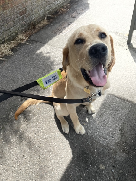 Pamela thread 5 - Bile Duct Cancer, chemo begins