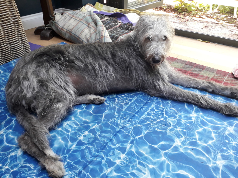 50 Books Challenge 2023 Part Six