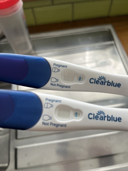 Clear blue test. Evap line or positive