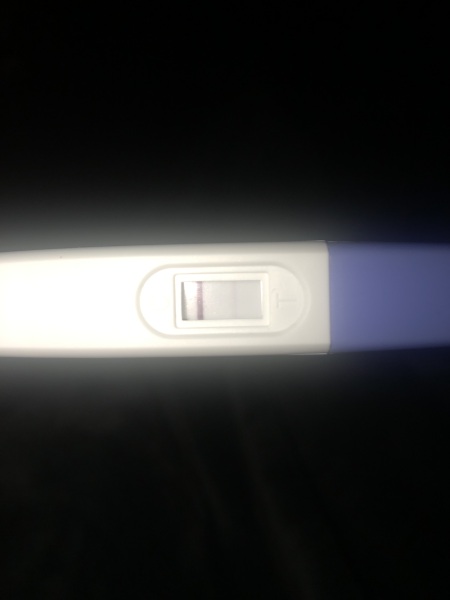 Pregnancy Test
