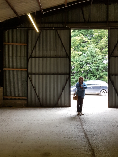 Vandalism by neighbour's Airbnb guests 