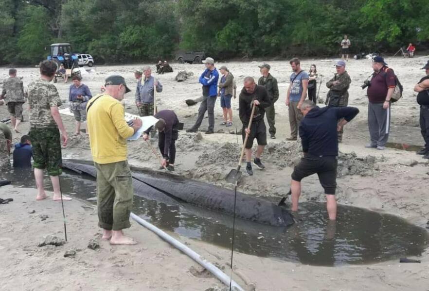 Ukraine Invasion: Part 42