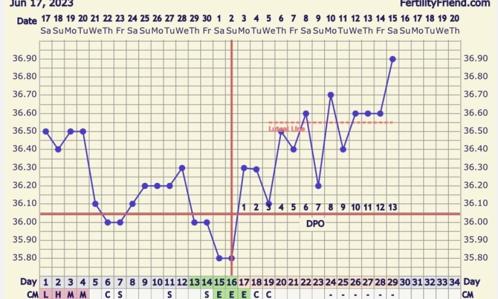 BBT Graph