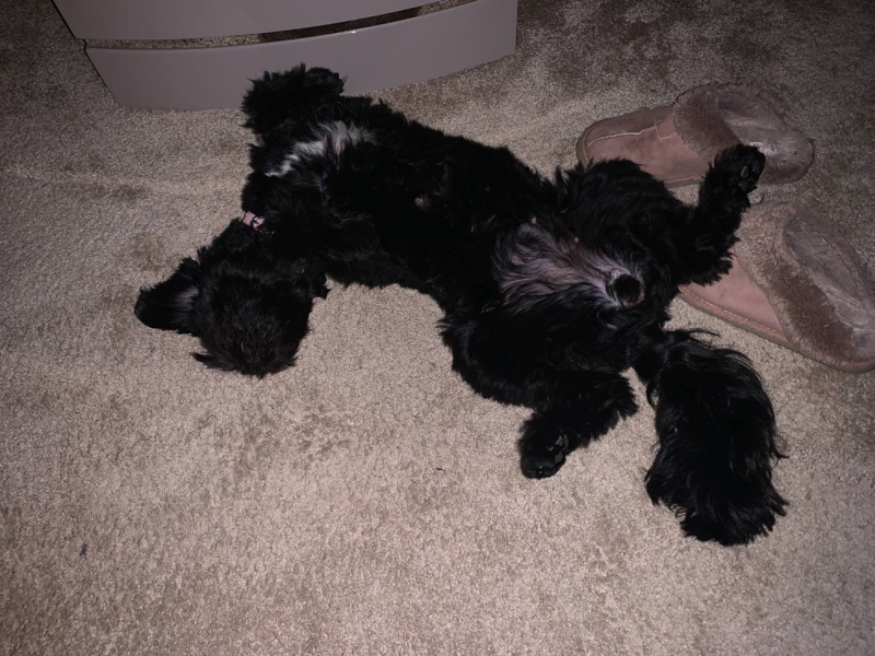 Pamela - Bile Duct Cancer, thread 4, London has given me a chance! 