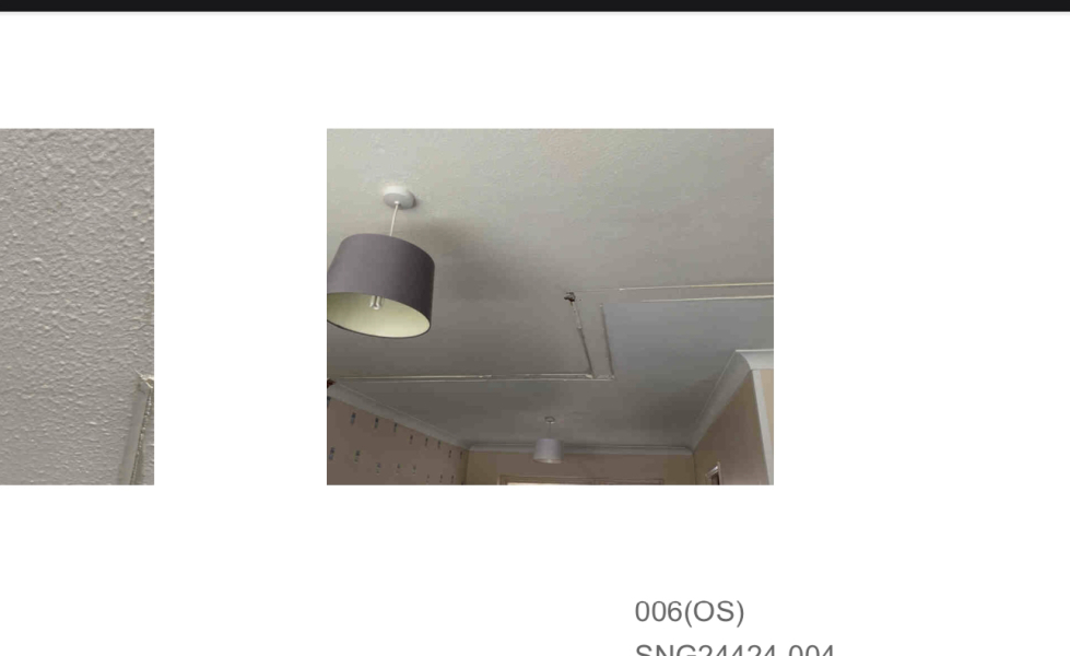 Property with Asbestos presence