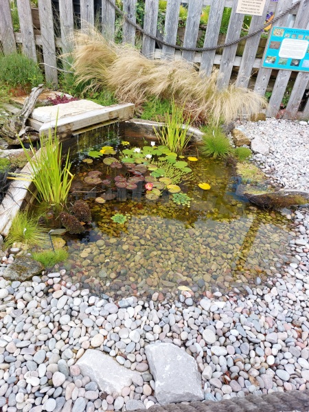 How to recreate this gorgeous pond