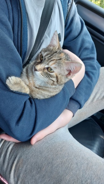 Pamela - Bile Duct Cancer, thread 4, London has given me a chance! 