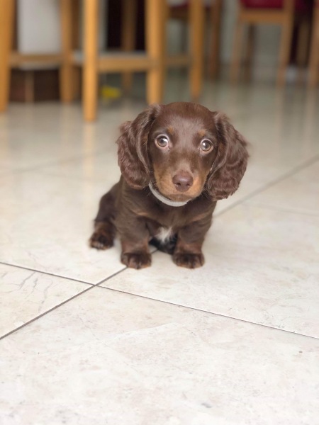 Countdown to Christmas 2023: launching into summer with more Christmas planning (thread 2) 