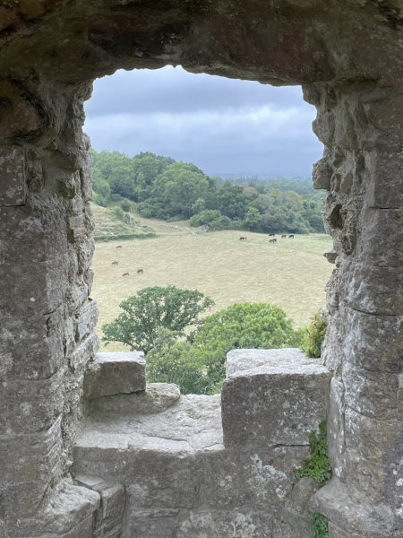 Pamela - Bile Duct Cancer, thread 4, London has given me a chance! 