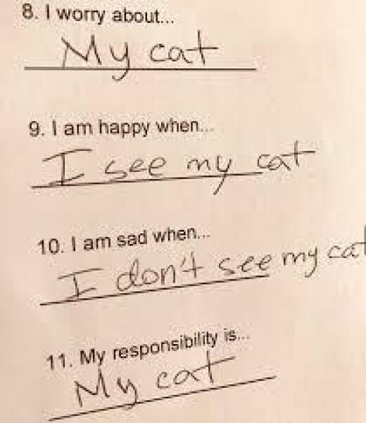 I hate the cat