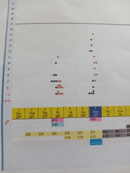 FET / IVF August 2023
