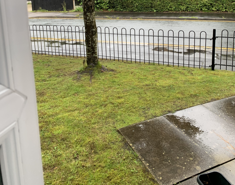 Why is the weather so shit?