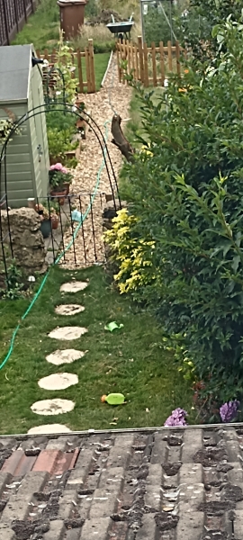 Garden advice, curved path? 