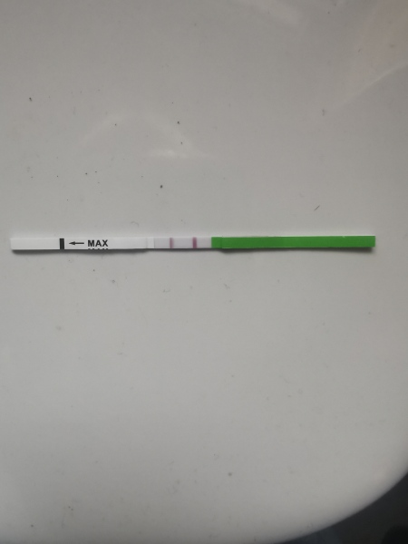 ovulation incoming