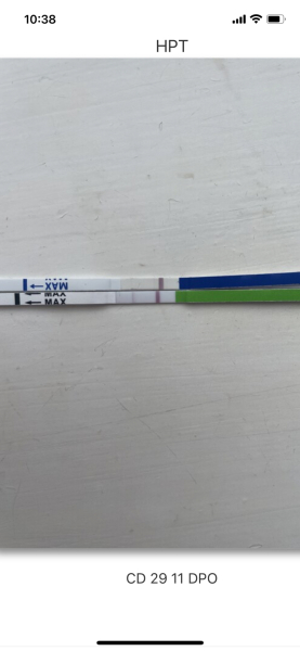 TTC cycle #5 - 28 years old
