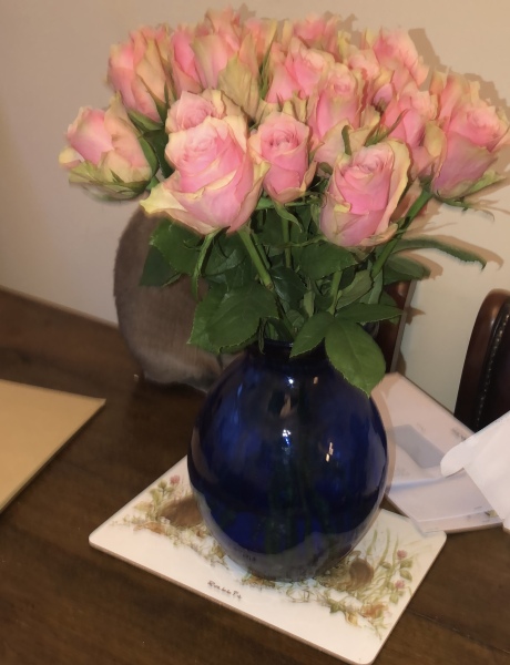 Pamela thread 6 - Bile Duct Cancer, Continued