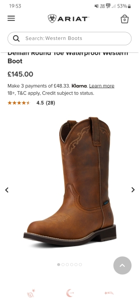 Cowboy boots