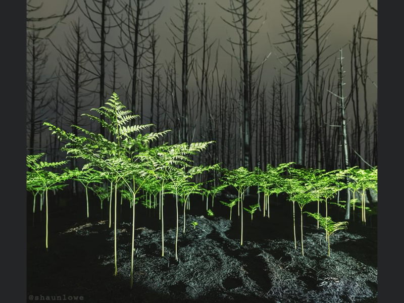 Pamela thread 5 - Bile Duct Cancer, chemo begins