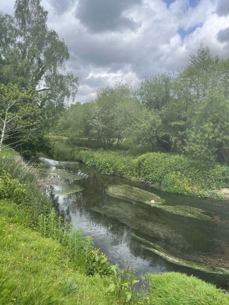 Pamela thread 5 - Bile Duct Cancer, chemo begins