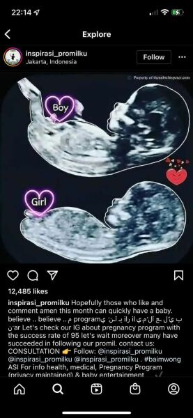 Nub theory!???