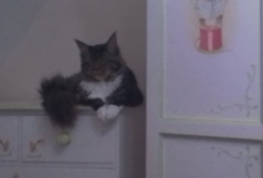 Pamela - Bile Duct Cancer, thread 4, London has given me a chance! 