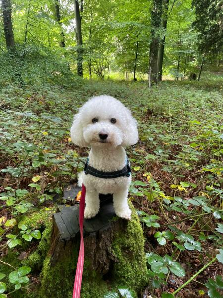 Pamela - Bile Duct Cancer, thread 4, London has given me a chance! 