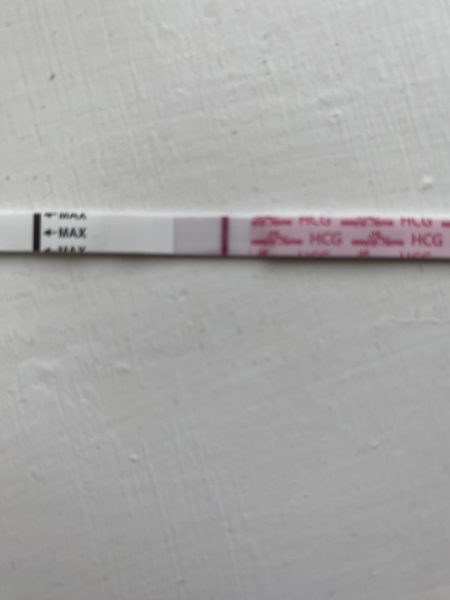 TTC May 2023 💖✨ previous MC March 2023