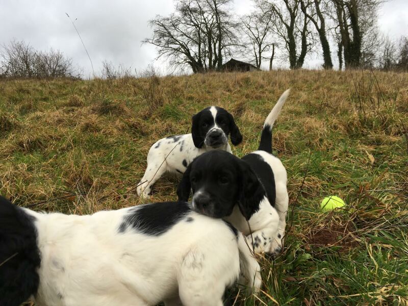 Thread 8 - TalkLair: “Brewing Russell's teapot” 