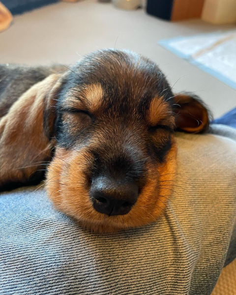 Pamela thread 5 - Bile Duct Cancer, chemo begins