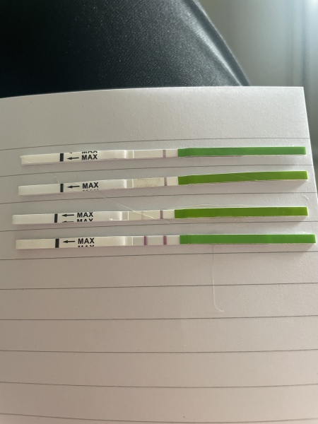 ovulation incoming