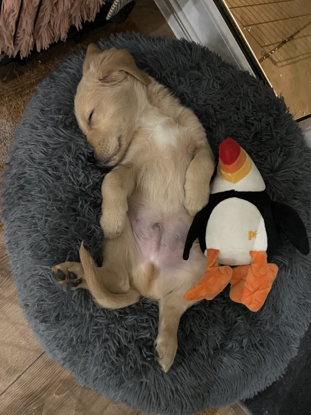 Pamela thread 3 - Bile Duct Cancer, off to London! 