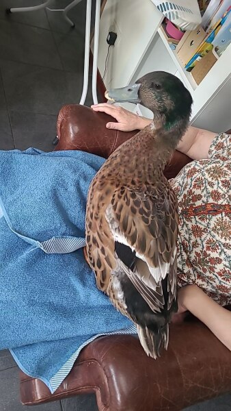 Come and tell me your dull and unexciting news 25: Calmly through the day 