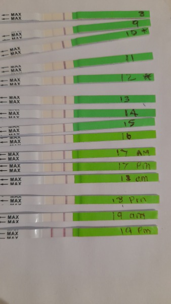 Help BFP to AF to BFP to BFN to positive opk and BFP 