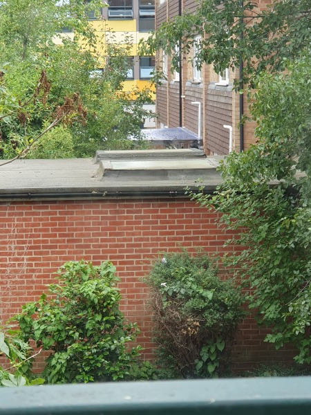 Mentally unwell neighbour, is there anything i can do?