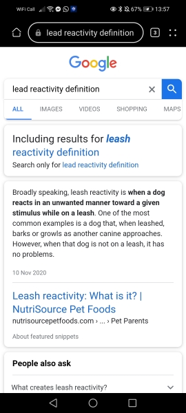 Protecting kids from dogs