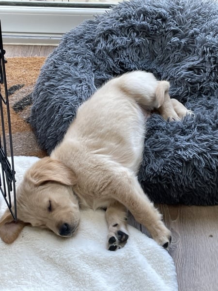 Pamela - Bile Duct Cancer, thread 4, London has given me a chance! 