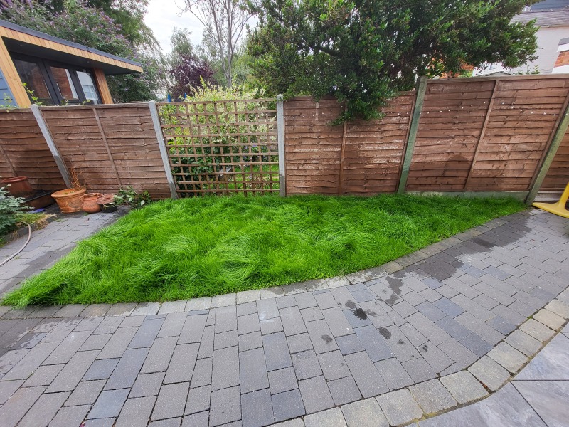 Artificial grass - help!