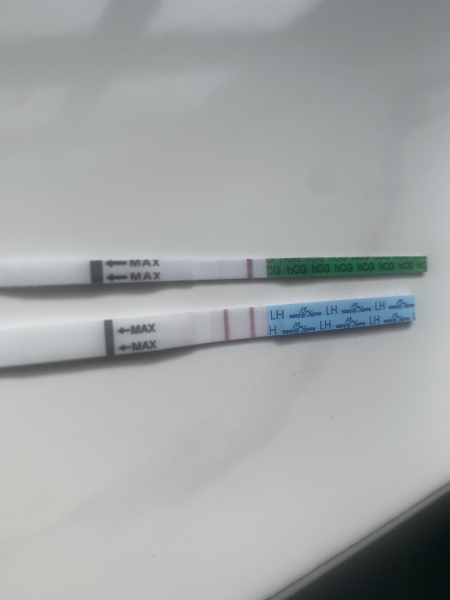 Missed miscarriage - Post surgery testing