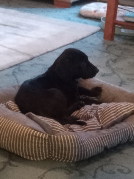 Early Summer weather watch