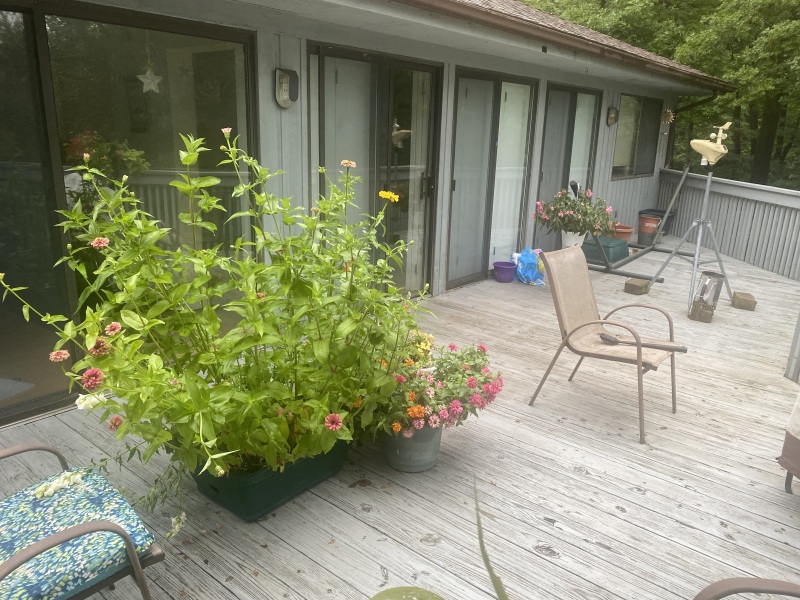 Come and tell me your dull and unexciting news 26: Calmly through the day 