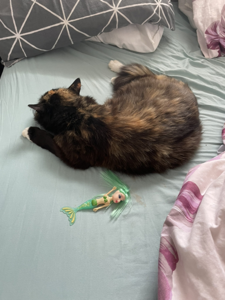 Pamela thread 3 - Bile Duct Cancer, off to London! 