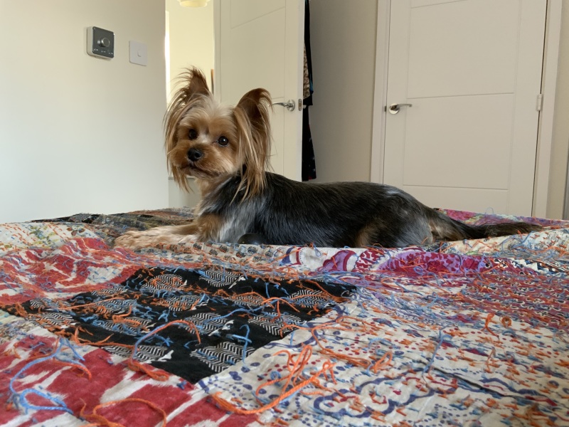 Thread 8 - TalkLair: “Brewing Russell's teapot” 