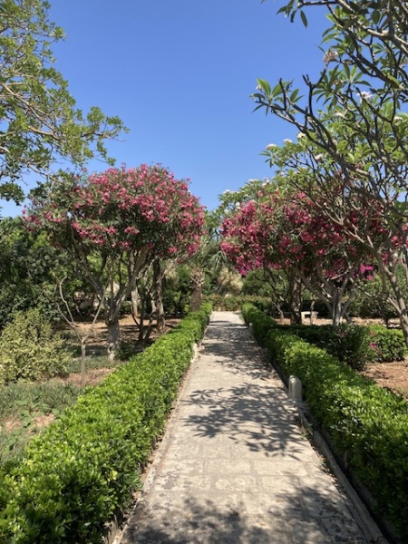 The Saxenda Sisterhood 