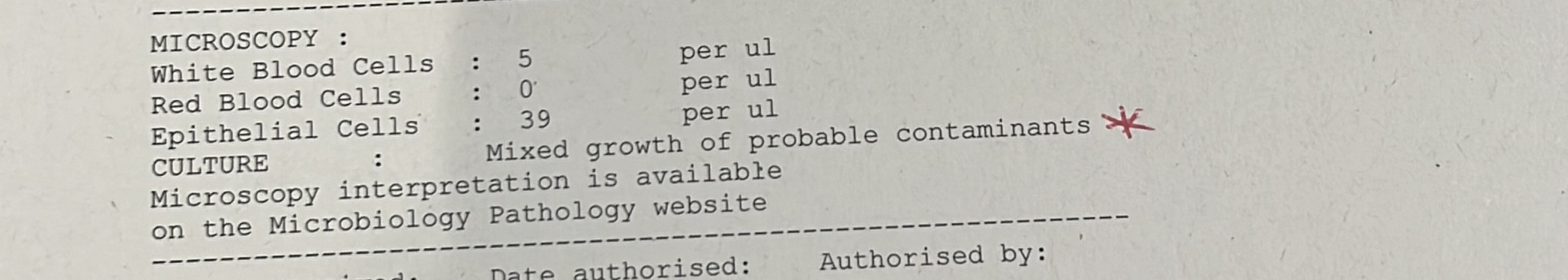 Can anybody make sense of my urine results?